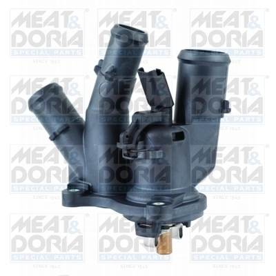 Thermostat, coolant